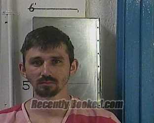 Recent Mugshot Image for BRANDON NA TURNER in Cocke County, Tennessee