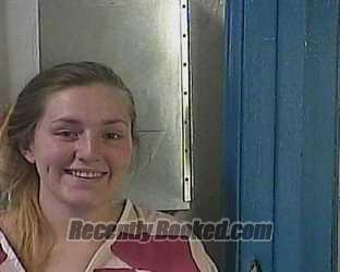Recent Mugshot Image for BRANDI DANIELLE BIBLE in Cocke County, Tennessee