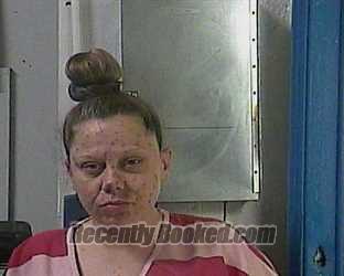 Recent Mugshot Image for APRIL LEE STOKELY in Cocke County, Tennessee