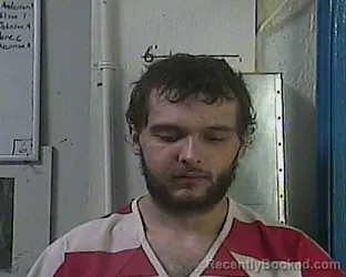 Recent Mugshot Image for TRAVIS WAYNE MANNING in Cocke County, Tennessee