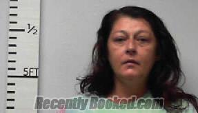 Recent Mugshot Image for Brandy Michelle Tidwell in Hardin County, Texas