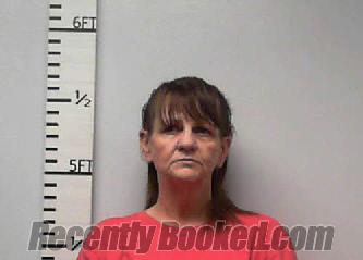 Recent Mugshot Image for Salah Michellea Williams in Hardin County, Texas