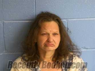 Recent Mugshot Image for ASHLEY NECOLE CHAPMAN in Humphreys County, Tennessee