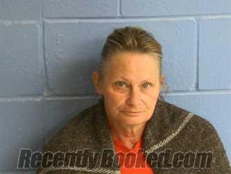 Recent Mugshot Image for SHELLY RENEE STORY in Humphreys County, Tennessee