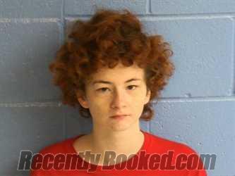 Recent Mugshot Image for MADALYN ANN MARIE LEE in Humphreys County, Tennessee