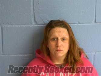 Recent Mugshot Image for JESSICA FAYE NEWHOUSE in Humphreys County, Tennessee