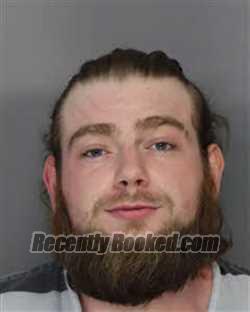 Recent Mugshot Image for DAMION ELIJAH COLE ASHBURN in Jefferson County, Tennessee