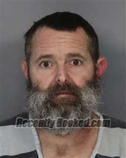 Recent Mugshot Image for JAMIE CARROLL LEWIS in Jefferson County, Tennessee