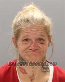 Recent Mugshot Image for TONYA MAE BURELL in Knox County, Tennessee