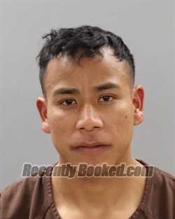 Recent Mugshot Image for DELMER SEBASTIAN-CHILEL in Knox County, Tennessee