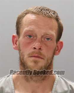 Recent Mugshot Image for CHRISTOPHER DANIEL HUTCHISON in Knox County, Tennessee