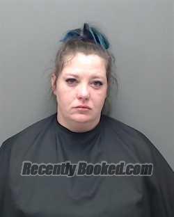 Recent Mugshot Image for BRITTANY PAIGE DAVIDSON in Harrison County, Texas