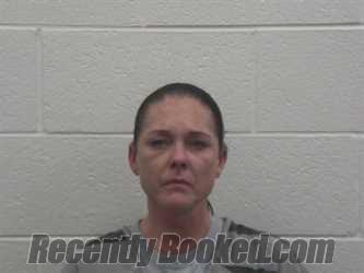 Recent Mugshot Image for CAROLYN ELIZABETH DELORENZO in Loudon County, Tennessee