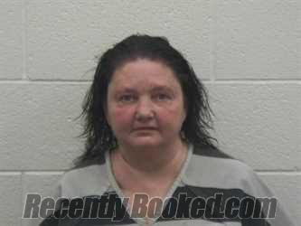 Recent Mugshot Image for TRISHA FAYE INMAN in Loudon County, Tennessee