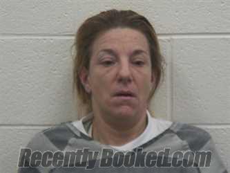 Recent Mugshot Image for SHEENA MARIE HARRINGTON in Loudon County, Tennessee