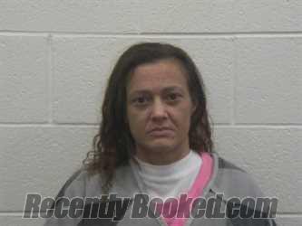 Recent Mugshot Image for ABIGAIL MARIE INGRAM in Loudon County, Tennessee