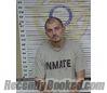 Recent Mugshot Image for PATRICK WISEMAN in McMinn County, Tennessee