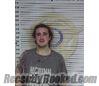 Recent Mugshot Image for IAN WALKER in McMinn County, Tennessee