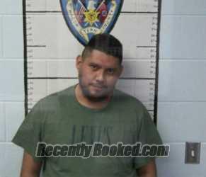 Recent Mugshot Image for HENRY A NAVARRETE  DURAN in Macon County, Tennessee