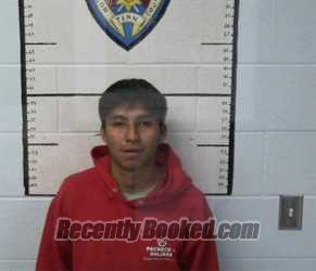 Recent Mugshot Image for FRANCISCO ALAVEZ SALINAS in Macon County, Tennessee