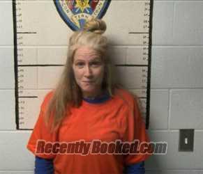 Recent Mugshot Image for AMANDA LOUISE GOSNELL in Macon County, Tennessee