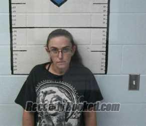 Recent Mugshot Image for MEGAN L DIAMOND in Macon County, Tennessee