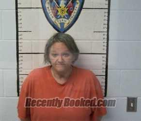 Recent Mugshot Image for SANDI M WATSON in Macon County, Tennessee