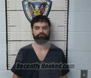Recent Mugshot Image for DALTON L ROBINSON in Macon County, Tennessee