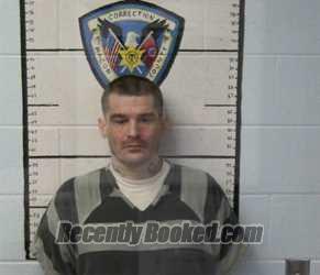 Recent Mugshot Image for TRAVIS N GREEN in Macon County, Tennessee