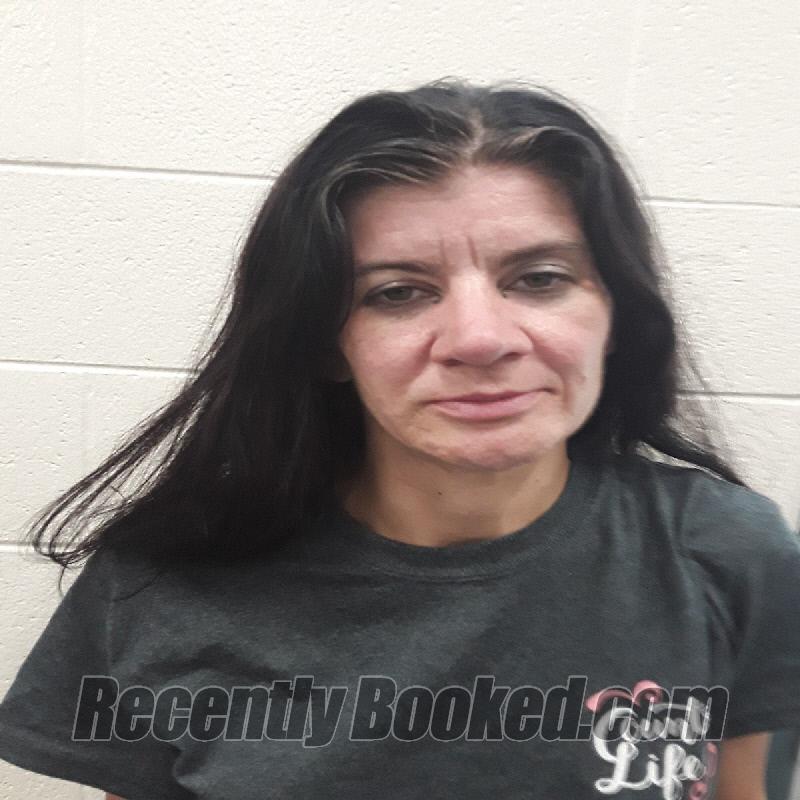 Recent Mugshot Image for AMANDA LEANN CROWDER in Monroe County, Tennessee