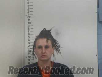 Recent Mugshot Image for JULIANE M BURCHETT in Putnam County, Tennessee