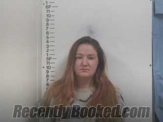 Recent Mugshot Image for SANDRA G HOWARD in Putnam County, Tennessee