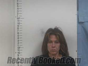 Recent Mugshot Image for ELIZABETH A MADISON in Putnam County, Tennessee