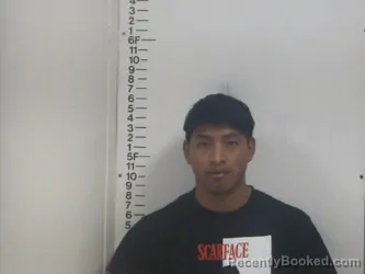 Recent Mugshot Image for WILFED-VIDAL MEJIA-BRAVO in Putnam County, Tennessee