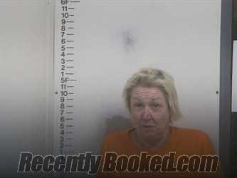 Recent Mugshot Image for LISA M PEEK in Putnam County, Tennessee