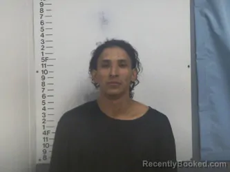 Recent Mugshot Image for JUNIOR REYES-REYES in Putnam County, Tennessee