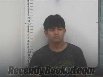 Recent Mugshot Image for LUIS REYES PEREZ in Putnam County, Tennessee
