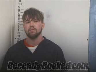 Recent Mugshot Image for LOGAN S STAMPS in Putnam County, Tennessee