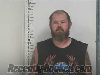 Recent Mugshot Image for TIM E WOMACK in Putnam County, Tennessee