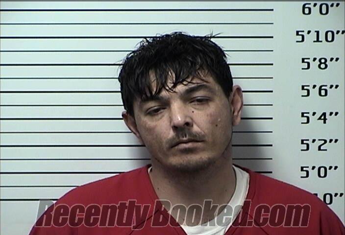 Recent Mugshot Image for WILLIAM HENRY PARMAN in Rhea County, Tennessee