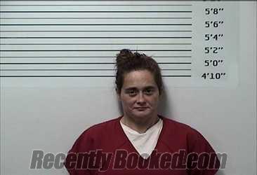 Recent Mugshot Image for TIFFANY RENE HALE in Rhea County, Tennessee