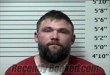Recent Mugshot Image for DAVID NATHANIEL CORVIN in Rhea County, Tennessee