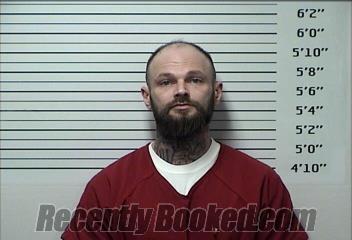 Recent Mugshot Image for CASEY LYNN HAYES in Rhea County, Tennessee