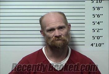 Recent Mugshot Image for MICHAEL CHRISTOPHER  WALDROP in Rhea County, Tennessee