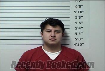 Recent Mugshot Image for ADRIAN HERNANDEZ in Rhea County, Tennessee