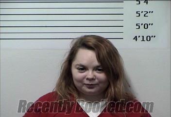 Recent Mugshot Image for TERRAGAN ACASHA WILSON in Rhea County, Tennessee