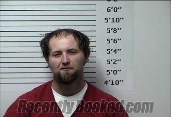 Recent Mugshot Image for CHRIS WAYNE ETHERTON in Rhea County, Tennessee