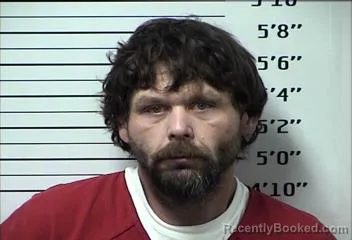 Recent Mugshot Image for ANDREW LEE GREEN in Rhea County, Tennessee