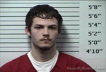 Recent Mugshot Image for AUSTIN GLEN MCALLISTER in Rhea County, Tennessee