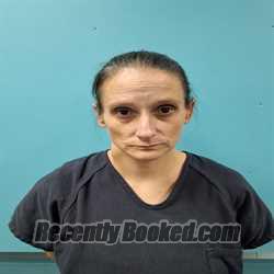 Recent Mugshot Image for VANESSA MACILE MOSER in Roane County, Tennessee